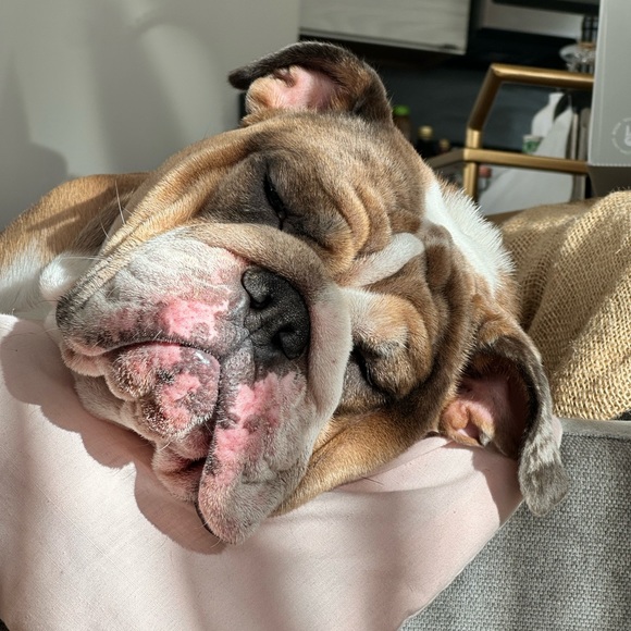 Always accepting offers ♥️ - Picture 2 of 6